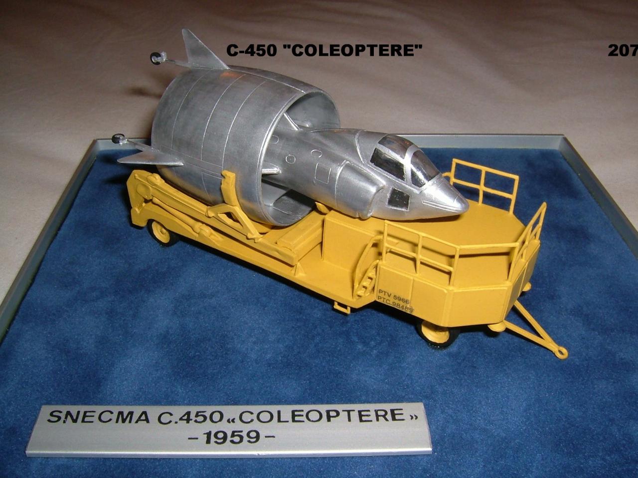 C 450 COLEOPTERE