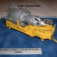 C 450 COLEOPTERE